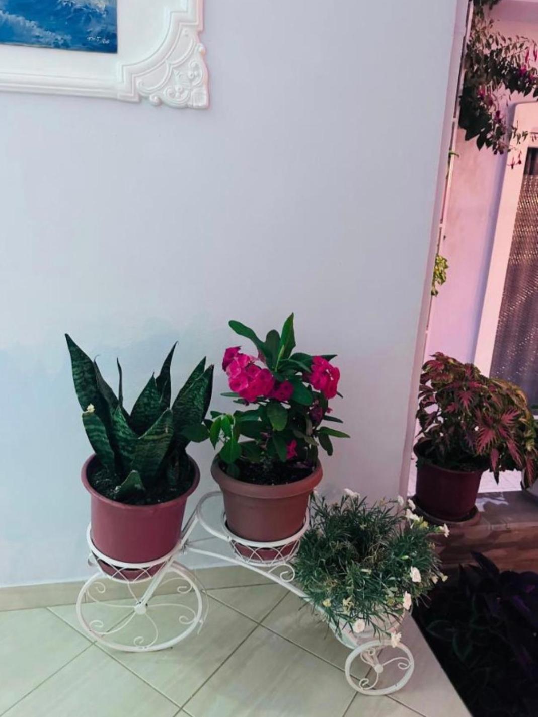 Sala Apartment'S Саранда Экстерьер фото